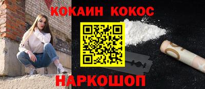 индика Гатчина
