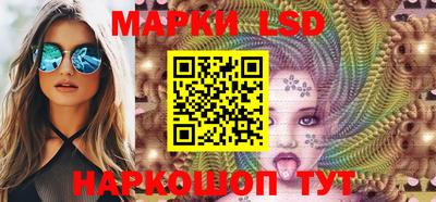 индика Гатчина