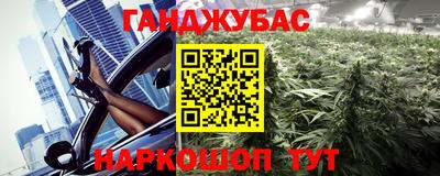 индика Гатчина