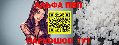 индика Гатчина